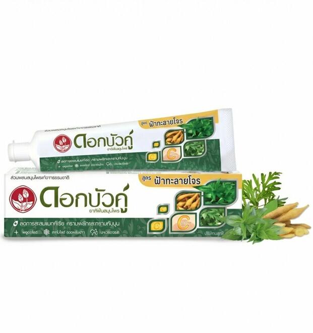 Зубная паста с андрографисом (Фа талай джон) Twin Lotus 100 гр