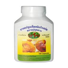 Капсулы Линчжи Рейши от онкологии и аллергии Kulab Hamar 100 шт