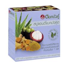 Заживляющее мыло с мангостином Twin Lotus 85 гр