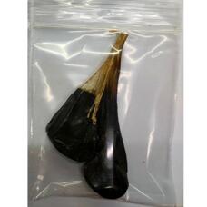 Желчный пузырь питона со змеиной фермы 2 шт