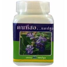 Антипаразитарные капсулы Витекс Трифолия (Vitex trifolia) 65 шт