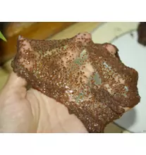 Коллагеновая маска из семян водорослей 15 гр